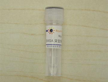 EMSA突变探针－OCT-1 (1.75μM)